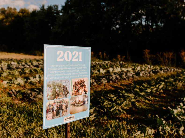 10 Years of Indy Urban Acres